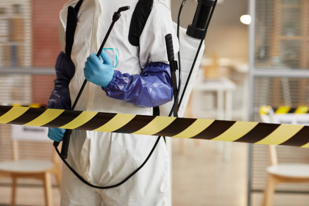 Professional Sewage Cleanup technician working in Pisgah, IA